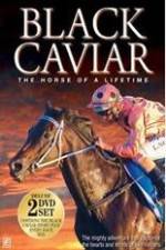 Watch Black Caviar The Races Putlocker