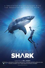 Watch Great White Shark Putlocker