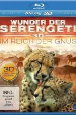 Watch The Wildebeest Migration Natures Greatest Journey Putlocker