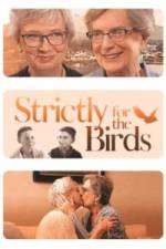 Watch Strictly for the Birds Putlocker