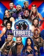 Watch WWE Tribute to the Troops Putlocker