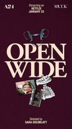 Watch Open Wide Putlocker