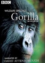 Watch Gorilla Revisited with David Attenborough Putlocker