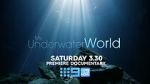 Watch My Underwater World (TV Special 2024) Putlocker