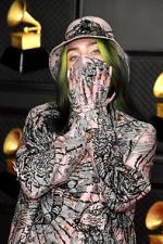 Watch The 63rd Annual Grammy Awards Putlocker