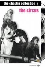 Watch The Circus Putlocker