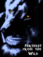 Watch Furthest from the Wild Putlocker
