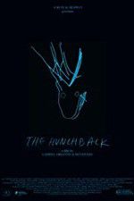 Watch The Hunchback Putlocker