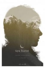 Watch Sea Horse Putlocker