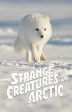 Watch Strange Creatures of the Arctic (TV Special 2022) Putlocker