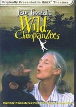 Watch Jane Goodall\'s Wild Chimpanzees Putlocker