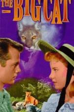 Watch The Big Cat Putlocker