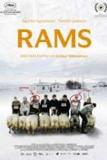 Watch Hrútar Putlocker