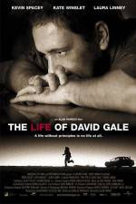 Watch The Life of David Gale Putlocker