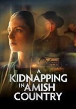 Watch A Kidnapping in Amish Country Putlocker