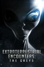Watch Extraterrestrial Encounters: The Greys Putlocker