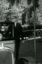 Watch Night Life in Reno Putlocker