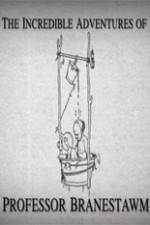 Watch The Incredible Adventures of Professor Branestawm Putlocker