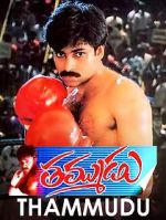 Watch Thammudu Putlocker