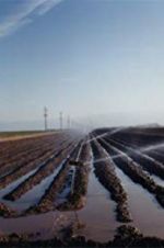 Watch El Valley Centro Putlocker