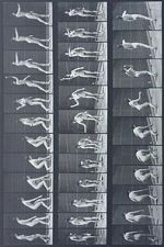 Watch Woman Throwing Baseball Putlocker