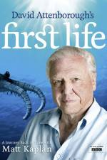 Watch First Life Putlocker