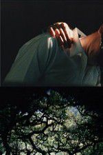 Watch The Hedge Theater Putlocker