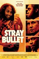 Watch Stray Bullet Putlocker