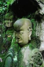 Watch The Thousand Years Old Man (  ) Putlocker