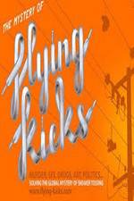 Watch The Mystery of Flying Kicks Putlocker