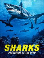 Watch Sharks: Predators of the Deep Putlocker