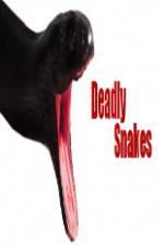 Watch National Geographic Wild Deadly Snakes Putlocker
