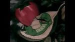 Watch The Wacky Worm (Short 1941) Putlocker