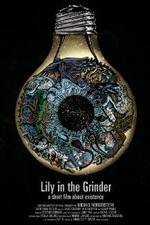 Watch Lily in the Grinder Putlocker