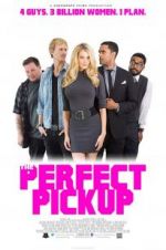 Watch The Perfect Pickup Putlocker