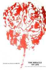 Watch The Miracle of Life Putlocker