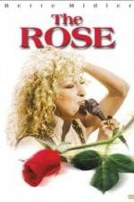 Watch The Rose Putlocker