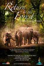 Watch Return to the Forest Putlocker