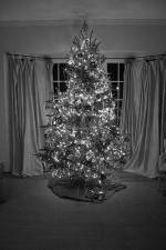 Watch The Christmas Miracle Putlocker