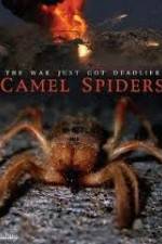 Watch Camel Spiders Putlocker