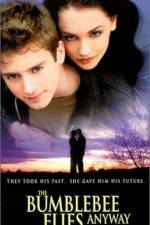 Watch The Bumblebee Flies Anyway Putlocker