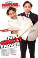 Watch Just Crazy Enough Putlocker