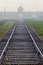 Watch AUSCHWITZ: FACTORIES OF DEATH Putlocker