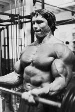 Watch The Comeback Putlocker