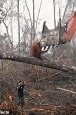 Watch Climate Change: The Facts Putlocker