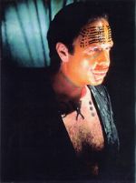 Watch The Age of Insects Putlocker