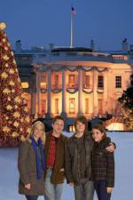 Watch The National Tree Putlocker