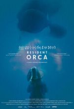 Watch Resident Orca Putlocker