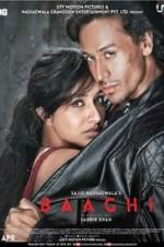 Watch Baaghi Putlocker