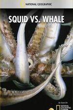 Watch National Geographic Wild - Squid Vs Whale Putlocker